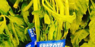 have you cooked with it before? — Bevin Clare