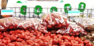 Zizyphus — Bevin Clare