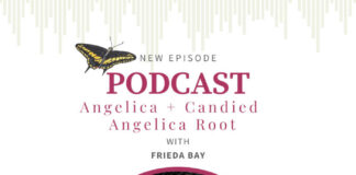 Angelica with Frieda Kipar Bay and Candied Angelica Root recipe