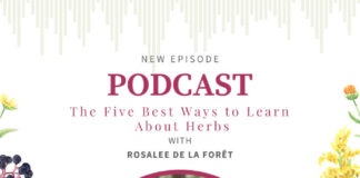 Best Ways to Learn About Herbs