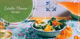 Edible Flower Recipes – Kami McBride