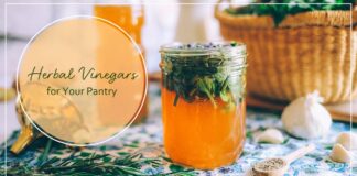 4 Herbal Vinegars for Your Pantry