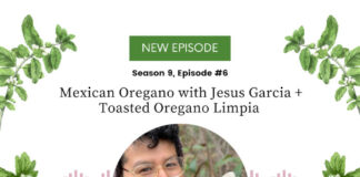 Mexican Oregano with Jesus Garcia