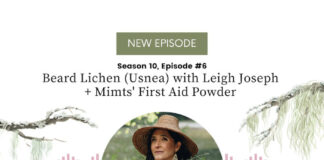 Beard Lichen (Usnea) with Leigh Joseph