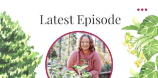 Linden Tree Medicine