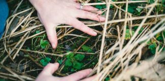 Vitalist Self-Care Practices – The School of Evolutionary Herbalism