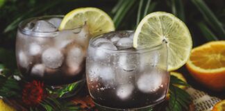 Elderberry Shrub + Mocktail Recipe for Immune Support