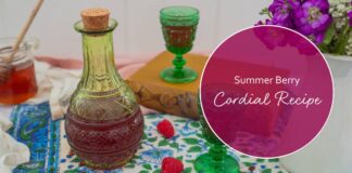Summer Berry Cordial Recipe – Kami McBride