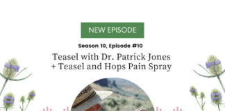 Teasel with Dr. Patrick Jones