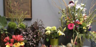 Connecting through Time, Place, and Personal Reflection – The Herb Society of America Blog