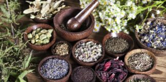 Traditional medicines must be integrated into health care for culturally diverse groups