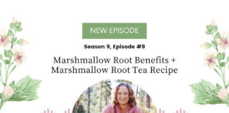 Marshmallow Root Benefits