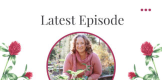 Red Clover Tea Benefits