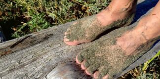 Summertime, and the livin’ is easy