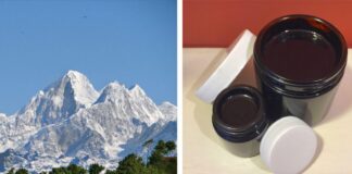 Shilajit: a remedy for all times