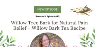 Willow Tree Bark for Natural Pain Relief