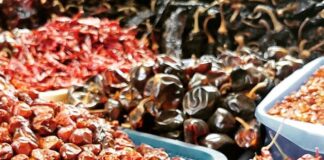 A Dozen Varieties of Mexican Chile 🌶️🌶️🌶️ — Bevin Clare