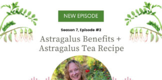 Astragalus Benefits