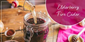 Immune-Supporting Elderberry Fire Cider Recipe