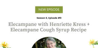 Elecampane with Henriette Kress