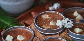 Homemade Hot Cocoa Lip Balm Recipe