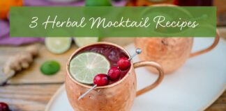 3 Herbal Mocktail Recipes to Warm Your Body & Soul