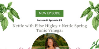 Stinging Nettle with Elise Higley