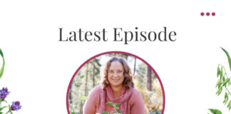 How to Get Started with Herbs