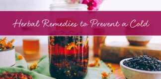 Herbal Remedies to Prevent a Cold Before It Starts