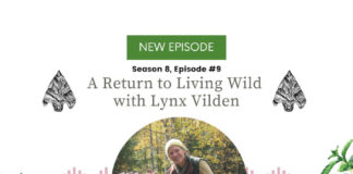 Return to Living Wild with Lynx Vilden