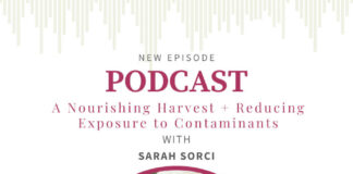 Environmental Contamination Issues for Foragers and Gardners