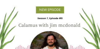 Benefits of Calamus Root with jim mcdonald