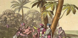 Allspice – Four Spices in One – The Herb Society of America Blog