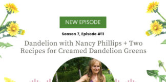 Dandelion with Nancy Phillips