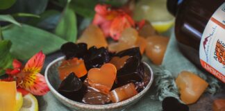 Apple Cider Vinegar Gummies Made with Agar
