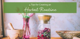 4 Tips For Creating an Herbal Routine
