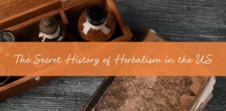The Eclectic Herbalists & The Secret History of Herbalism in the US