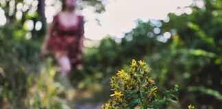 10 Zero-Waste Swaps for a Sustainable New Year