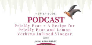 Prickly Pear with Mimi Prunella Hernandez