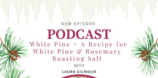 White Pine with Laura Gilmour