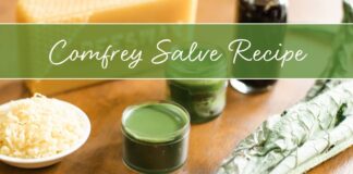 Comfrey Salve Recipe: The Balm You’ll Love for Bumps and Bruises