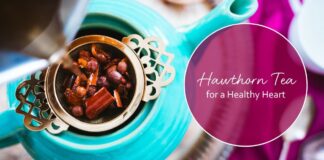 Hawthorn Tea for a Healthy Heart