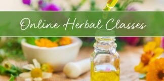 Online Herbal Classes With Herbalist Kami McBride