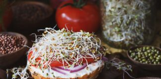 Growing Sustainable Food On Your Countertop