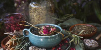 Herb Flavor Profiles for DIY Tea Blending