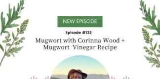 Mugwort with Corinna Wood