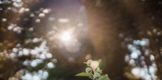 Why I Wish What I Did Wasn’t Called Medical Astrology