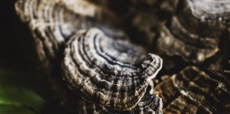 Uniting for Climate Day: One Step Closer to Sustainability