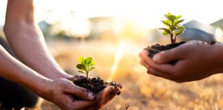 Indigenous Leadership for Sustainability