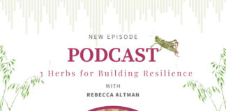 3 Herbs for Resilience with Rosalee and Rebecca